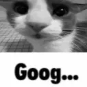 Goog...