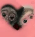 lovingmonkeys
