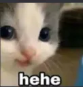 hehe | .gg/kitkat