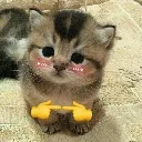 being cute | .gg/kitkat