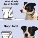 Lovely Day on Internet