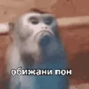 обижани пон