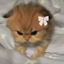 angry | .gg/antisocialz