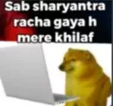 Mai_sharif_doge