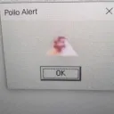 Pollo alert