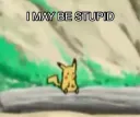 I May Be Stupid