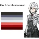 Arlecchinosexual