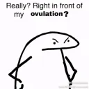 Ovulation 