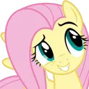 Fluttershy Pony_10
