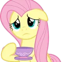 Fluttershy Pony_38