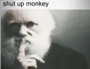 Shut up MOnkey!