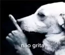 Não grita