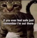 Cat_Safe