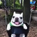 aiaiaiaiaiiaiaiaia