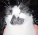 hmmm