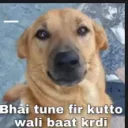 tune fir kutto wali baat kardi