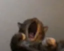 aaaaaaaaaaa
