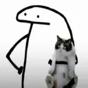 hold cat