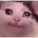 cry