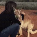 Kangaroo Hug 