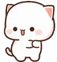 cat dance