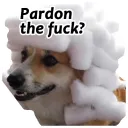 huh