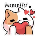 You are Purrfect
