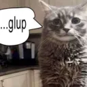 ….gulp