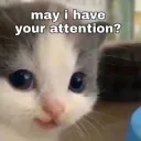 attentionplease