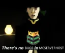 no bugs