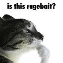 Is_this_ragebait