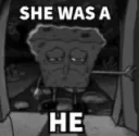 she was a HE
