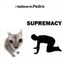 Pedro Supremacy