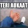 teri aukaat