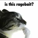 isthisragebait?