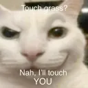 touch_you