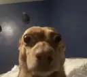 Dayum...