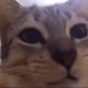 cronch nom nom  ghouliez