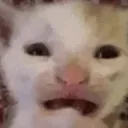 wtf