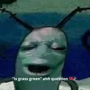 Auh