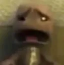 wtf