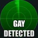 gay
