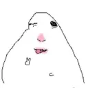 Hamster