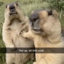 let him cook