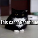 this cannot continue. stop