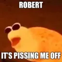 ROBERT. IT'S PISSING ME OFF