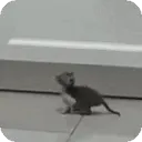 Jump