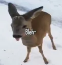 deer_bleh