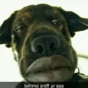 Sniff ur ass
