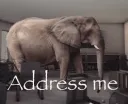 Elephant in the room